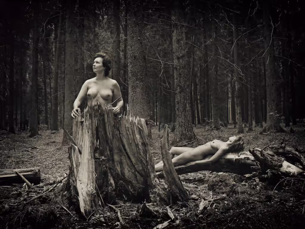 Forest Refuge