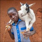 My goat brother